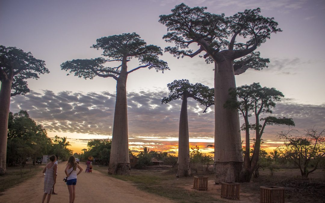 Retour d&rsquo;expérience : Margot, 4 mois de stage d&rsquo;éducatrice spécialisée à Madagascar