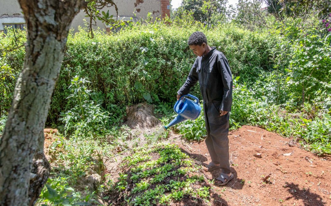 Une formation en agriculture bio et en agronomie pour Ainga